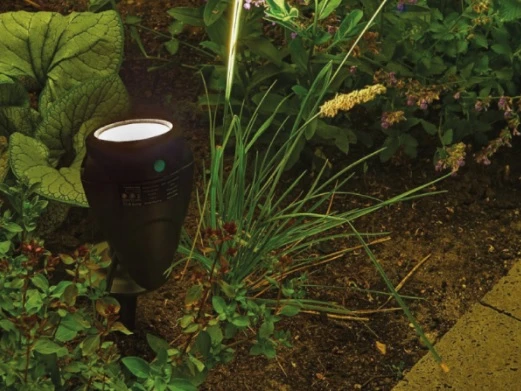 Suslight Sus Tops Zwart - Afbeelding 2